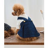 【DOG】ツイードドッキングジャンパースカート | ROPE' PICNIC | 詳細画像1 
