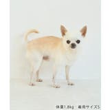 【DOG】ツイードドッキングジャンパースカート | ROPE' PICNIC | 詳細画像12 