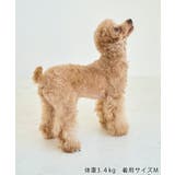 【DOG】ツイードドッキングジャンパースカート | ROPE' PICNIC | 詳細画像16 