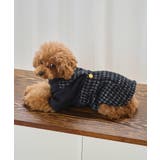 ブラック系(02) | 【DOG】ツイードドッキングジャンパースカート | ROPE' PICNIC