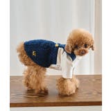 ネイビー系(41) | 【DOG】ツイードドッキングジャンパースカート | ROPE' PICNIC