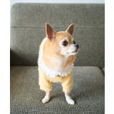 【DOG】ビックカラーカーディガン | ROPE' PICNIC | 詳細画像11 