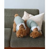 【DOG】ビックカラーカーディガン | ROPE' PICNIC | 詳細画像15 