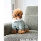 【DOG】ビックカラーカーディガン | ROPE' PICNIC | 詳細画像2 