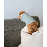 【DOG】ビックカラーカーディガン | ROPE' PICNIC | 詳細画像3 