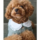 【DOG】ビックカラーカーディガン | ROPE' PICNIC | 詳細画像7 