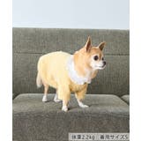 【DOG】ビックカラーカーディガン | ROPE' PICNIC | 詳細画像9 