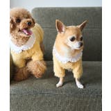 クリーム(83) | 【DOG】ビックカラーカーディガン | ROPE' PICNIC