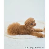 【DOG】カラーフリースベスト | ROPE' PICNIC | 詳細画像14 