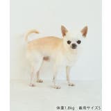 【DOG】クリスマスポンチョ | ROPE' PICNIC | 詳細画像23 