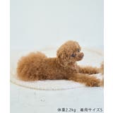 【DOG】クリスマスポンチョ | ROPE' PICNIC | 詳細画像26 