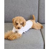 バースデーミニタルトTシャツ | ROPE' PICNIC | 詳細画像21 