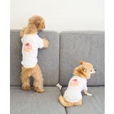 バースデーミニタルトTシャツ | ROPE' PICNIC | 詳細画像22 