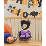 【DOG】ハロウィン魔女セット | ROPE' PICNIC | 詳細画像3 