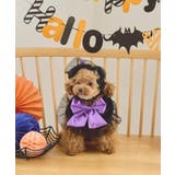【DOG】ハロウィン魔女セット | ROPE' PICNIC | 詳細画像4 