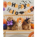 【DOG】ハロウィン魔女セット | ROPE' PICNIC | 詳細画像5 