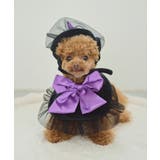 【DOG】ハロウィン魔女セット | ROPE' PICNIC | 詳細画像6 