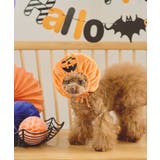 【DOG】ハロウィンかぼちゃ | ROPE' PICNIC | 詳細画像2 
