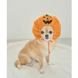 【DOG】ハロウィンかぼちゃ | ROPE' PICNIC | 詳細画像5 