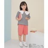 【KIDS】ビックカラーボーダーTEE/リンクコーデ | ROPE' PICNIC【KIDS】 | 詳細画像2 