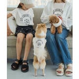 【KIDS/キッズ】カレッジロゴプリントピグメントTシャツ/リンクコーデ | ROPE' PICNIC【KIDS】 | 詳細画像12 