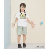 【KIDS】UNISEXマルチストライプハーフパンツ | ROPE' PICNIC【KIDS】 | 詳細画像2 