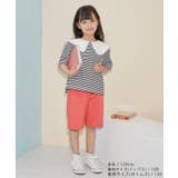 【KIDS】バギーズショーツ/撥水加工 | ROPE' PICNIC【KIDS】 | 詳細画像10 