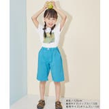 【KIDS】バギーズショーツ/撥水加工 | ROPE' PICNIC【KIDS】 | 詳細画像6 