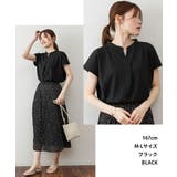 【M-L・LL-3L・4L-5L】スキッパーTシャツカットソー | JungleJalopy | 詳細画像2