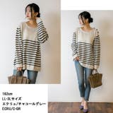 【M-L・LL-3L・4L-5L】ボーダー入り丸首肩ボタン空きプルオーバー | JungleJalopy | 詳細画像2