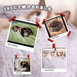 シャギーペットベッド 犬 猫 | karei | 詳細画像2 