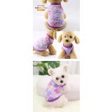 ドッグウェア ペットグッズ 犬服 | karei | 詳細画像14 