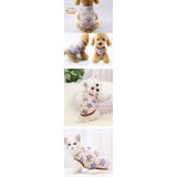 ドッグウェア ペットグッズ 犬服 | karei | 詳細画像16 