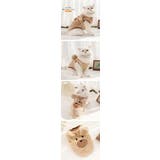 ドッグウェア ペットグッズ 犬服 | karei | 詳細画像17 