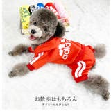 2タイプ ペット服 フーディー 犬用品 | karei | 詳細画像11 