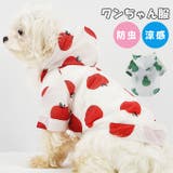 犬服 防虫 涼感 春 夏 小型犬 クール フルーツ 可愛い 爽やか 薄手 | karei | 詳細画像1