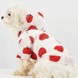 犬服 防虫 涼感 春 夏 小型犬 クール フルーツ 可愛い 爽やか 薄手 | karei | 詳細画像3