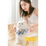 ペットグッズ 首輪ネックレス アクセサリー | karei | 詳細画像4 