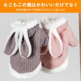 ペットウェア ペット服 うさみみ | karei | 詳細画像6 