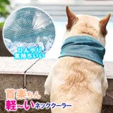 ネッククーラー ペットグッズ クールバンダナ | karei | 詳細画像1 