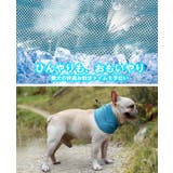 ネッククーラー ペットグッズ クールバンダナ | karei | 詳細画像11 