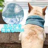 ネッククーラー ペットグッズ クールバンダナ | karei | 詳細画像4 