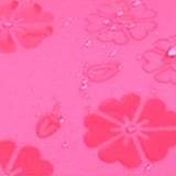 濡れると花びらの模様が浮き出る！折りたたみ傘 UV カット | karei | 詳細画像2 