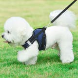 犬ウェアハーネス リードセット ネコ | karei | 詳細画像10 