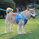 犬ウェアハーネス リードセット ネコ | karei | 詳細画像13 