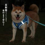 犬ウェアハーネス リードセット ネコ | karei | 詳細画像14 