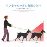 犬ウェアハーネス リードセット ネコ | karei | 詳細画像3 