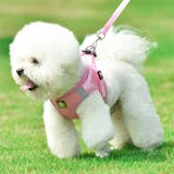 犬ウェアハーネス リードセット ネコ | karei | 詳細画像6 