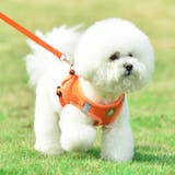 犬ウェアハーネス リードセット ネコ | karei | 詳細画像7 