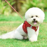 犬ウェアハーネス リードセット ネコ | karei | 詳細画像9 